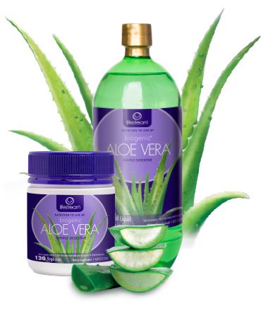 Aloe-Vera